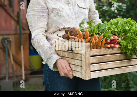 Man carrying crate of vegetables, mid section Banque D'Images