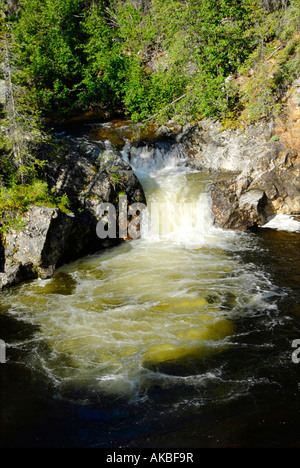 Rancheria Falls Site loisirs le long de route de l'Alaska Al Alcan Canada Territoire du Yukon peut Banque D'Images