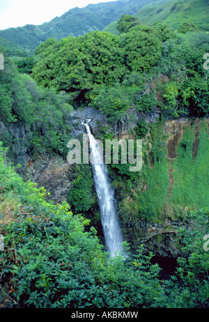 L'une des centaines de belles chutes d'eau dans les régions montagneuses de Kauai Banque D'Images