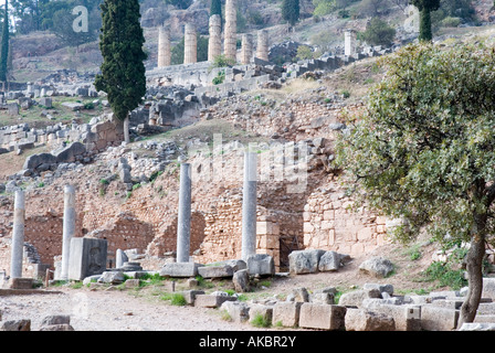 Reste des colonnes de l'Agora romaine à Delphes avec le Temple d'Apollon dans l'arrière-plan. Banque D'Images