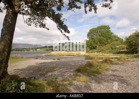 Pays de Galles Snowdonia Llyn Tegid Gwynedd Bala Lake Shore à Llangower Banque D'Images