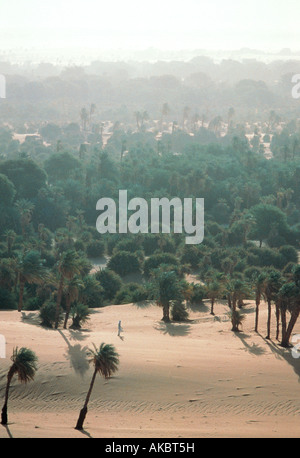 Sur l'oasis de palmiers date appelée Faya Largeau près de Bardai dans le nord du Tchad Afrique Banque D'Images