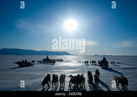 Les équipes de chiens du Groenland Qaanaaq et les chasseurs inuits voyageant hors de chasser au printemps pendant la période du soleil de minuit Banque D'Images