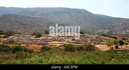 La ville Minoenne de Gournia de près de Aghios Nikolaos Crete qui est le mieux conservé de New Palace ère c 3500 ans ville Minoenne. Banque D'Images