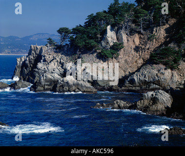 Point Lobos State Reserve sur la péninsule de Monterey de Californie Banque D'Images