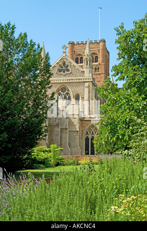 St Albans Cathédrale Vue de jardin de l'abbaye Banque D'Images