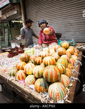 Un vendeur de rue, la vente de citrouilles à rayures de Chandni Chowk marché. Delhi, Inde. Banque D'Images