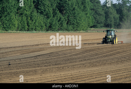 Le labour du tracteur . Stockholm , Suède Banque D'Images