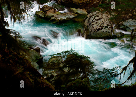 L'eau se précipiter dans la rivière dans l'État de Washington, USA Banque D'Images