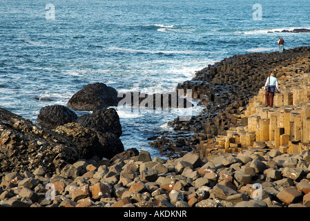 Le Giant's Causeway, le comté d'Antrim, en Irlande du Nord. UNESCO World Heritage Site. Banque D'Images