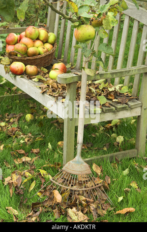Siège de jardin avec des feuilles tombées et py panier de pommes exceptionnels sous l'Angleterre arbre Octobre Banque D'Images