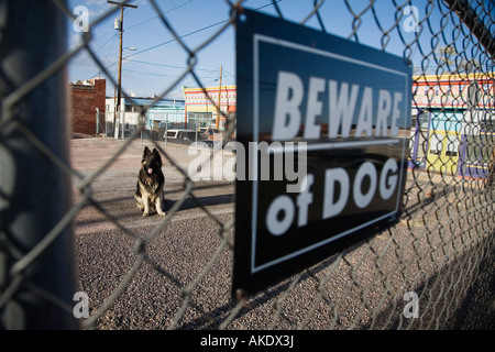 Chien de protection derrière 'Attention au chien' sign on fence Banque D'Images