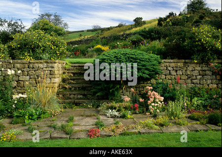 Jardin en terrasses plus Lee Lancashire en pente sur un mur de soutènement en pierre sèche avec des marches en pierre et de plantes dans les fissures Banque D'Images