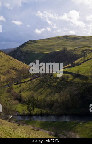 Dovedale près de Milldale, parc national de Peak District, Derbyshire, Staffordshire, Angleterre Banque D'Images