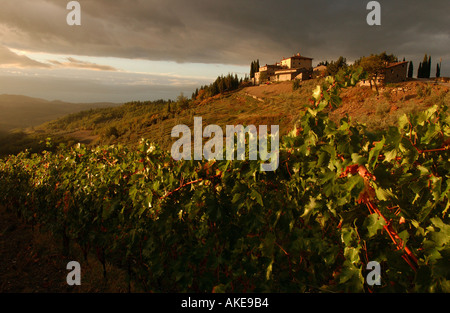 Vignobles et de villa sur une colline en Toscane Italie Banque D'Images