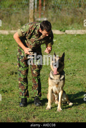 Conducteur de chien de l'Armée britannique et son travail à l'Alsacienne Banque D'Images