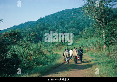 Une partie de l'établissement pour suivre les gorilles sur une piste dans la forêt impénétrable de Bwindi en Ouganda, au sud-ouest de l'Afrique de l'Est Banque D'Images