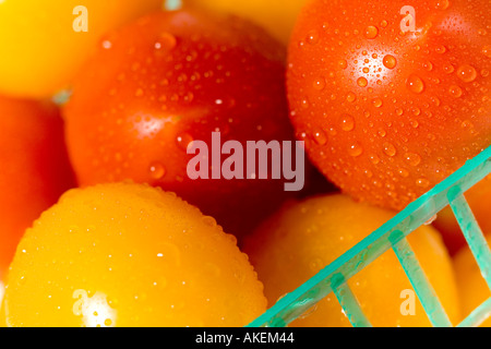 Nourriture de tomate Banque D'Images