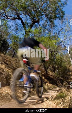 Équitation un vélo de montagne à travers la brousse rapide. Banque D'Images