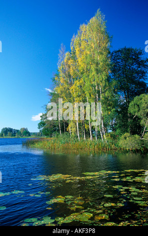 Lettland, Pace-See beim Dorf Rythme westlich von Dundaga bei Talsi, Banque D'Images