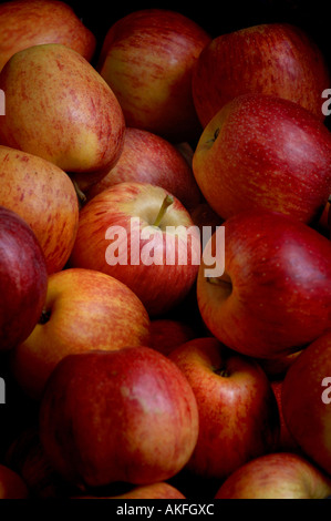 Une boîte de pommes rouges en vente à un légumes. Photo par Jim Holden. Banque D'Images