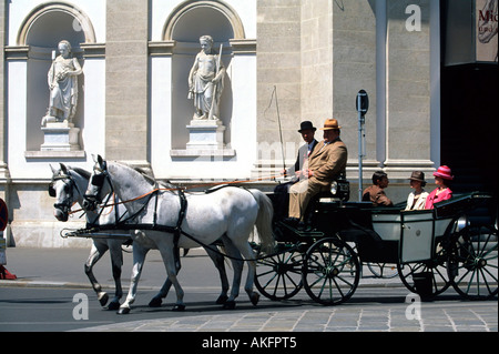 Österreich, Wien 1, un fiacre, Albertinaplatz, der Albrechtsrampe des Palais Erzherzog Albrecht (Albertina) Banque D'Images