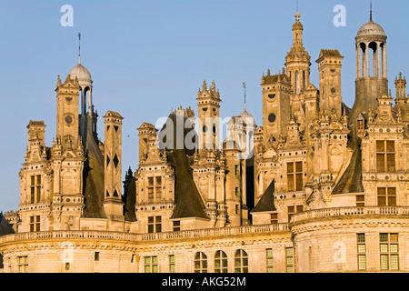 France, Loir et Cher, Chambord château et réserve de chasse (1519-1547) par le roi François 1er Banque D'Images