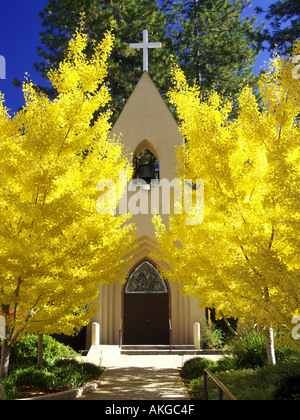 Arbres ginko jaune vif entourent une église à l'automne Banque D'Images