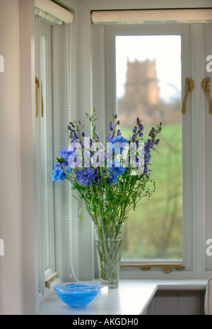 Un vase de fleurs DANS UN VASE BLEU DANS UN CADRE EN BOIS HOUSE UK Banque D'Images