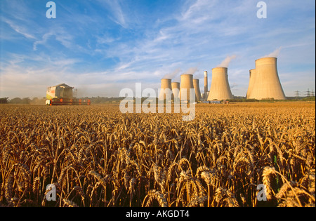 Une moissonneuse-batteuse de la récolte d'une récolte de blé avec Ratcliffe sur la centrale thermique au charbon derrière. Banque D'Images
