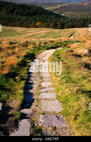 Sentier à Macclesfield Forest de Shutlingsloe dans le Peak District Banque D'Images