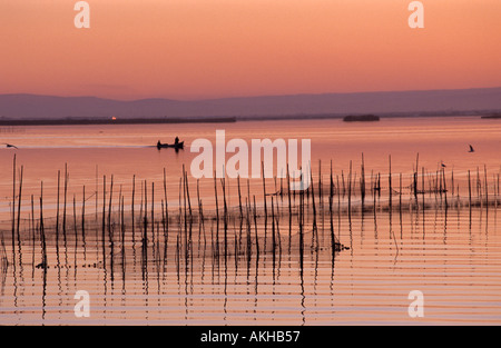 Filets de pêche coucher de laberinth s'Albufera Lake Valencia Espagne Banque D'Images