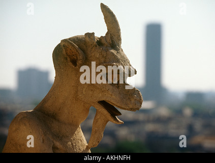 Gargouille en haut de la Cathédrale Notre-Dame, Paris, France (la tour Montparnasse en arrière-plan) Banque D'Images