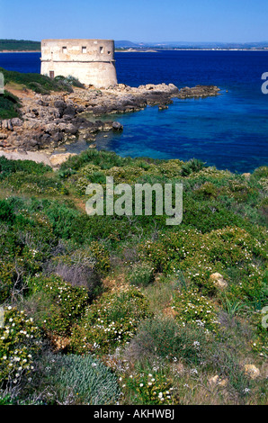 La tour aragonaise, Capo Galera, Sardaigne, Italie Banque D'Images