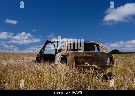 Voiture brûlée dans un champ de maïs des agriculteurs UK Banque D'Images