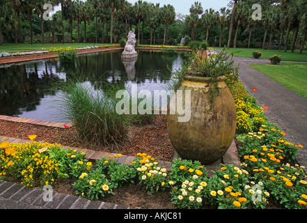 Caroline du Sud Murrells Inlet Brookgreen Gardens et Anne Archer Huntington Sculpture Garden Jardin Palmetto Banque D'Images