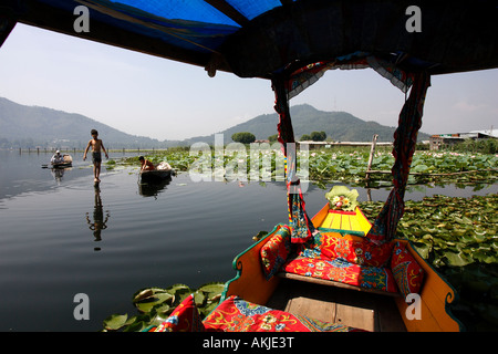 L'Inde, le Jammu-et-Cachemire, Srinagar, sur le lac Dal Banque D'Images