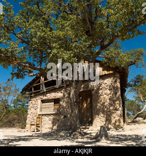 Taramuhara s'attarder sur les Indiens Copper Canyon Chihuahua Mexique Banque D'Images