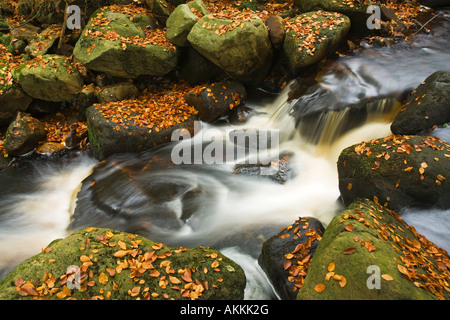 Stream Padley Gorge Derbyshire en automne Banque D'Images