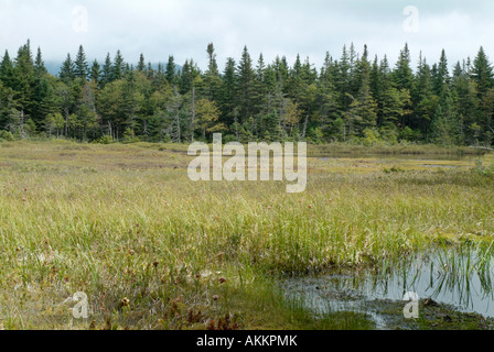 Sentier des Appalaches une vue panoramique le long du sentier de la crête de Kinsman situé dans les Montagnes Blanches du New Hampshire USA Banque D'Images