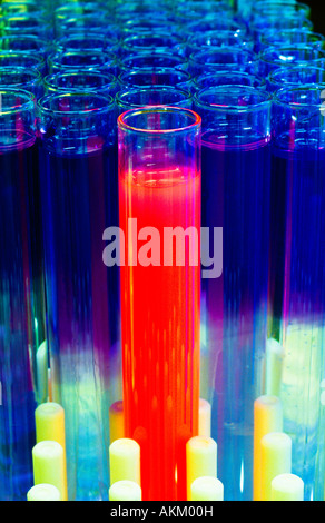 Test tubes in test tube rack Banque D'Images
