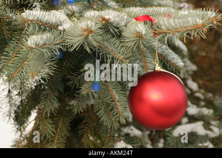 Un ornement décoration d'un sapin de Noël pendant la saison de Noël Banque D'Images