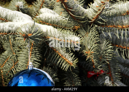 Un grand extérieur bleu ornement de Noël décorant un sapin extérieur après qu'il a neigé juste Banque D'Images