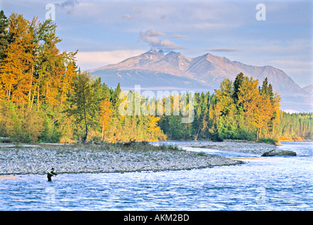 Pêcheur sur la rivière Bulkley Banque D'Images