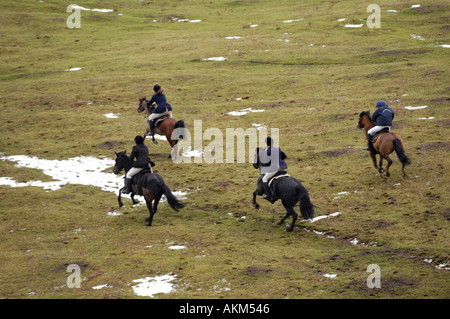 Une partie de l'équitation à travers la recherche de Llangeinor colline au-dessus de Blackmill près de Bridgend sur le Boxing Day annuel Fox hunt Banque D'Images