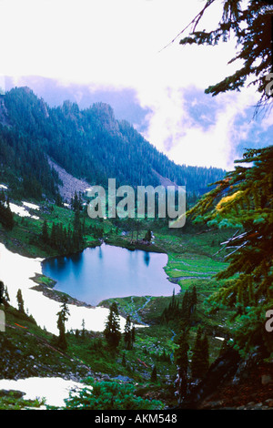 Le Parc National Olympic NP l'État de Washington, États-Unis d'Amérique États-Unis d'Amérique du Banque D'Images