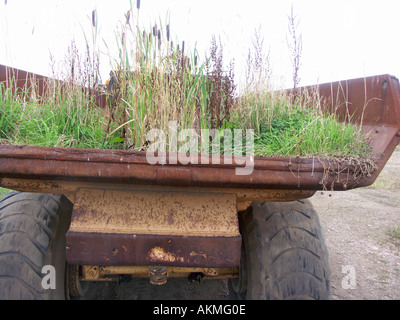 Camion Dumper avec jonc de plus en elle. Vue arrière. Banque D'Images