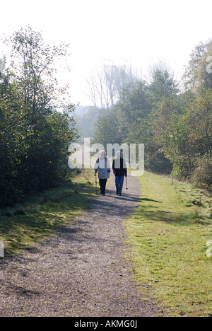 Les gens qui marchent sur Cannock Chase, Staffordshire, England, UK Banque D'Images