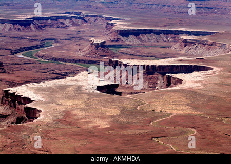 Jante blanc le long de la rivière Verte Canyonlands National Park Moab Utah USA Banque D'Images