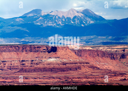 La Sal montagnes au-dessus de Canyonlands National Park Moab Utah USA Banque D'Images